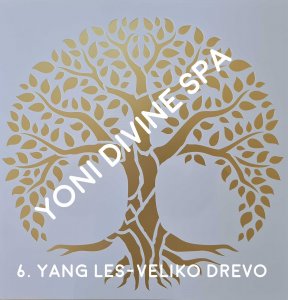 6. Yang Wood - Tree